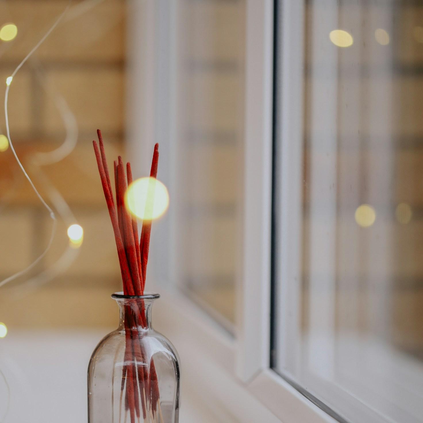 Meditation practice space with cushions arranged in circle